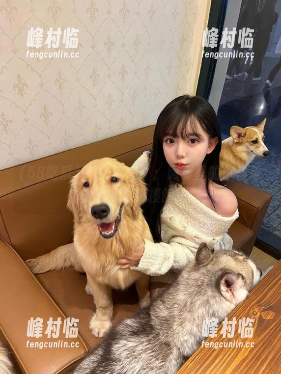 58吃瓜 “58吃瓜”:网页里的小乌龟,慢慢爬出热搜的探险!